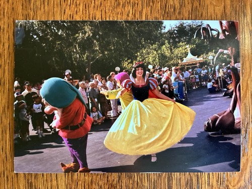 Snow white disneyland - snow, disney